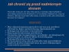 slajd06